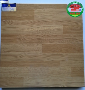50x50 prime-1173