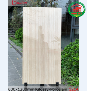 CATALAN - 60x120 - 1214_2