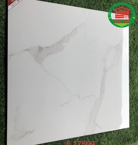 80x80 Prime-17509