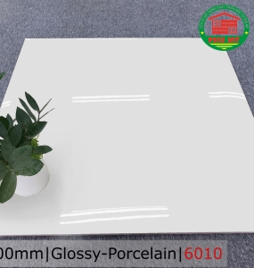 PORCELAIN - BÓNG - 60x60 - 6010