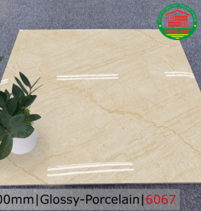 PORCELAIN - BÓNG - 60x60 - 6067