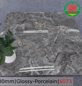 PORCELAIN - BÓNG - 60x60 - 6073