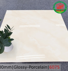 PORCELAIN - BÓNG - 60x60 - 6075