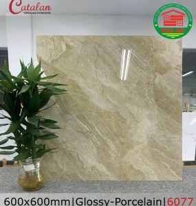 PORCELAIN - BÓNG - 60x60 - 6077