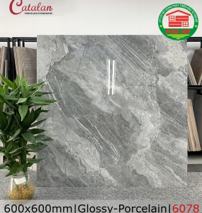 PORCELAIN - BÓNG - 60x60 - 6078