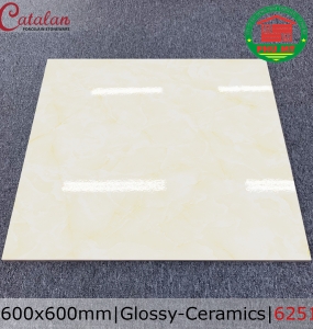 CERAMICS - BÓNG -  6251