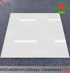 CERAMICS - BÓNG -  6253