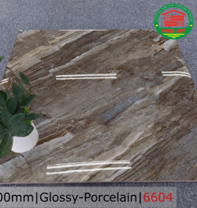 PORCELAIN - TITAN - 60x60 - 6604