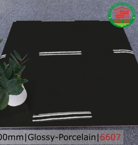 PORCELAIN - TITAN - 60x60 - 6607