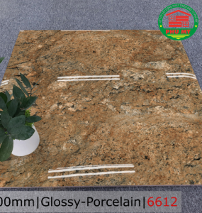 PORCELAIN - TITAN - 60x60 - 6612