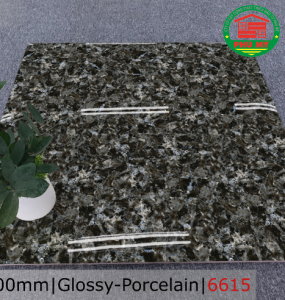 PORCELAIN - TITAN - 60x60 - 6615
