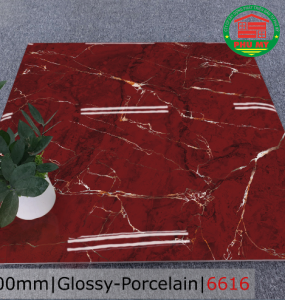 PORCELAIN - TITAN - 60x60 - 6616
