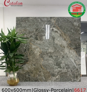 PORCELAIN - TITAN - 60x60 - 6617