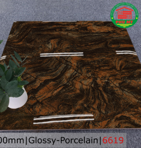 PORCELAIN - TITAN - 60x60 - 6619