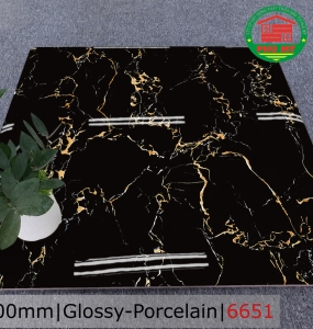 PORCELAIN - TITAN - 60x60 - 6651