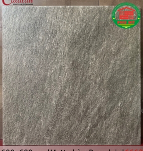 PORCELAIN - MATT - 60x60 - 6662