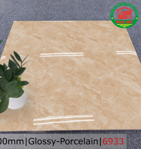 PORCELAIN - BÓNG - 60x60 - 6933
