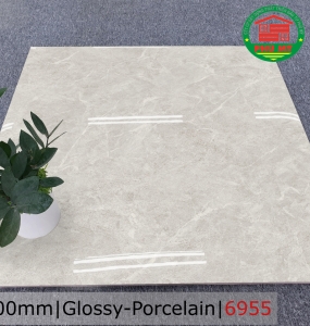 PORCELAIN - BÓNG - 60x60 - 6955