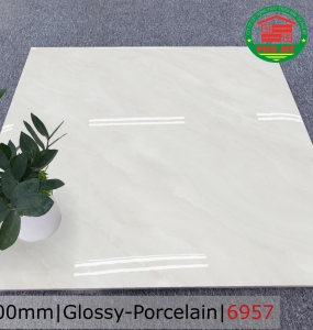 PORCELAIN - BÓNG - 60x60 - 6957