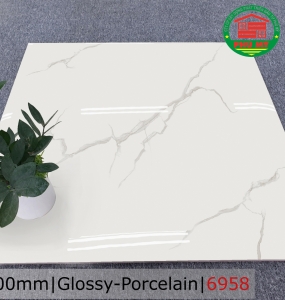 PORCELAIN - BÓNG - 60x60 - 6958