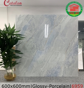 PORCELAIN - BÓNG - 60x60 - 6959