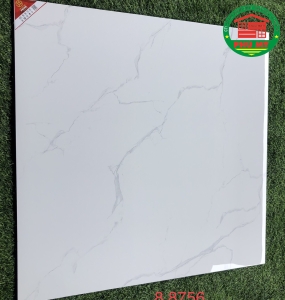 80x80 Prime-8756