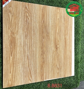 80x80 Prime-8.8831