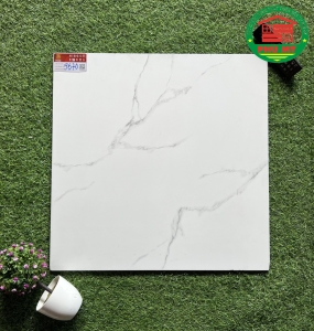 60x60-9670