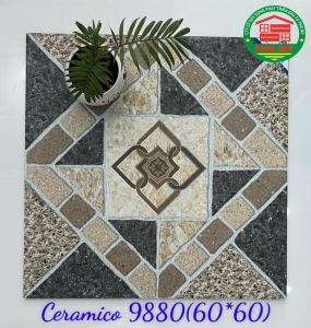 60x60- 9880