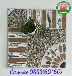 60x60-9883