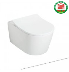 Bồn cầu CW-542