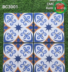 Vĩ Năng 30x30 - BC3001