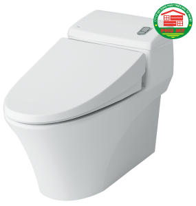 Bồn cầu AC1008VRN