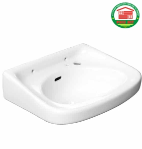 Chậu rửa Viglacera BS418
