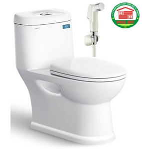 Bàn cầu Viglacera C109 