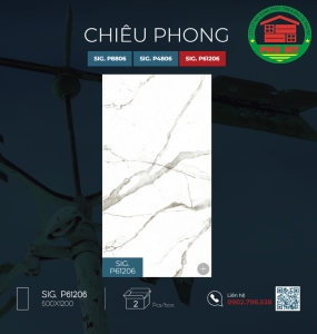 Chiêu Phong 60x120- SIG.P61206