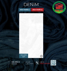 Denim 60x120 - SIG.DNI Q01