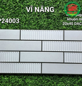 Vĩ Năng 20x40 - DP24003