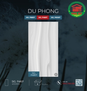 Du Phong 40x80 - SIG.P4807