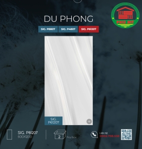 Du Phong 60x120 - SIG.P61207