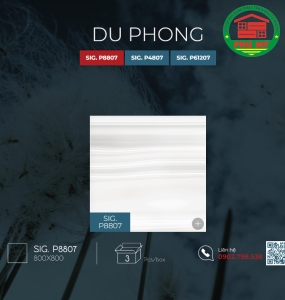 Du Phong 80x80 - SIG.P8807