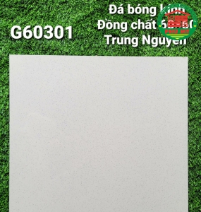 Vĩ Năng 60x60 - G60301