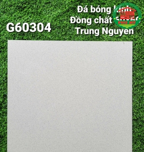 Vĩ Năng 60x60 - G60304