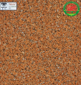 Vĩ Năng 60x60 - G60839