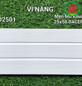 Vĩ Năng 25x50 - GD2501