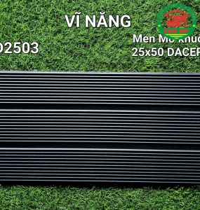 Vĩ Năng 25x50 - GD2503