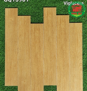 Vĩ Năng 15x90- GQ15901