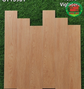 Vĩ Năng 15x90 - GT15901