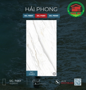 Hải Phong  40x80 - SIG.P4801