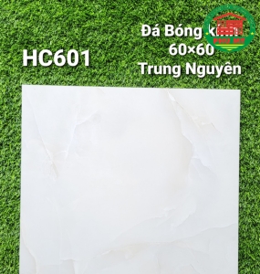 Vĩ Năng 60x60 - HC601